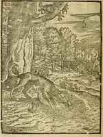 An illustration from Aisopou mythoi (1644)