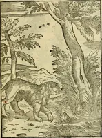 An illustration from Aisopou mythoi (1644)