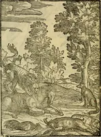 An illustration from Aisopou mythoi (1644)