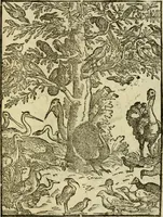 An illustration from Aisopou mythoi (1644)