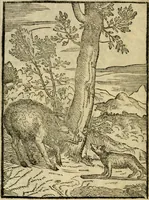 An illustration from Aisopou mythoi (1644)
