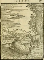 An illustration from Aisopou mythoi (1644)