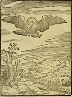 An illustration from Aisopou mythoi (1644)