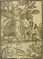 An illustration from Aisopou mythoi (1644)