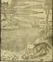 An illustration from Aisopou mythoi (1644)
