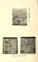 An illustration from Akimoto Shishaku-ke onzoki nyusatsu (1917)