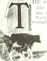 Picture 228 of 270 from Aladdin homes : "built in a day" Catalog no. 29 (1917), leaf 111