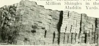 Picture 21 of 270 from Aladdin homes : "built in a day" Catalog no. 29 (1917), leaf 14