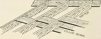 An illustration from Aladdin Manual of construction : containing practical methods covering every step necessary in the erection of Aladdin houses, barns, garages, etc. / prepared and illustrated by David S. Betcone (1918)