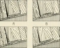 An illustration from Aladdin Manual of construction : containing practical methods covering every step necessary in the erection of Aladdin houses, barns, garages, etc. / prepared and illustrated by David S. Betcone (1918)