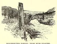 Picture 2 of 14 from Alaska .. (1901), leaf 148