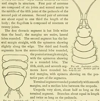 An illustration from Alaska .. (1901)
