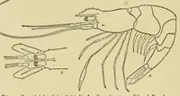 An illustration from Alaska .. (1901)