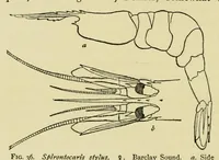 An illustration from Alaska .. (1901)