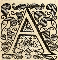 An illustration from Albania, or, Certaine concernments of Great Brittany : with an explication of the present state thereof : truely represented under the faigned person of Albania (1641)