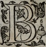 An illustration from Alberici Gentilis De legationibus, libri tres (1585)