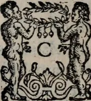 An illustration from Alberici Gentilis De legationibus, libri tres (1585)