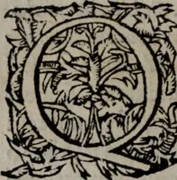 An illustration from Alberici Gentilis De legationibus, libri tres (1585)