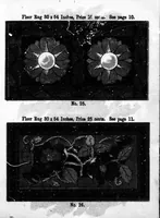 Picture 11 of 13 from Diamond Dye rug book [microform] (1899), leaf 16