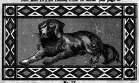 Picture 7 of 13 from Diamond Dye rug book [microform] (1899), leaf 5