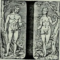 Picture 6 of 40 from Albert Dürer, his life and works (1882), leaf 16