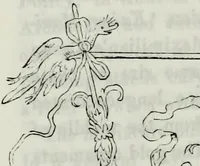 Picture 20 of 40 from Albert Dürer, his life and works (1882), leaf 171