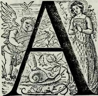 Picture 26 of 40 from Albert Dürer, his life and works (1882), leaf 203
