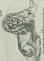 Picture 28 of 40 from Albert Dürer, his life and works (1882), leaf 238