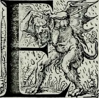 Picture 31 of 40 from Albert Dürer, his life and works (1882), leaf 249