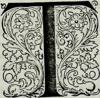 Picture 37 of 40 from Albert Dürer, his life and works (1882), leaf 321