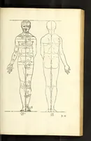 An illustration from Alberti Dureri Clarissimi pictoris et geometrae de symmetria partium in rectis formis humanorum corporum (1532)