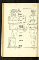 Picture 11 of 43 from Alberti Dureri Clarissimi pictoris et geometrae de symmetria partium in rectis formis humanorum corporum (1532), leaf 112
