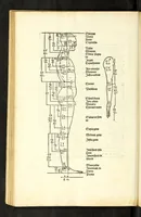 An illustration from Alberti Dureri Clarissimi pictoris et geometrae de symmetria partium in rectis formis humanorum corporum (1532)