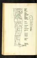 Picture 14 of 43 from Alberti Dureri Clarissimi pictoris et geometrae de symmetria partium in rectis formis humanorum corporum (1532), leaf 132