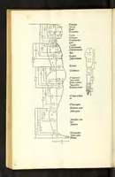 Picture 15 of 43 from Alberti Dureri Clarissimi pictoris et geometrae de symmetria partium in rectis formis humanorum corporum (1532), leaf 152