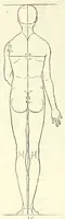 An illustration from Alberti Dureri Clarissimi pictoris et geometrae de symmetria partium in rectis formis humanorum corporum (1532)