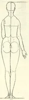 An illustration from Alberti Dureri Clarissimi pictoris et geometrae de symmetria partium in rectis formis humanorum corporum (1532)