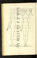 Picture 29 of 43 from Alberti Dureri Clarissimi pictoris et geometrae de symmetria partium in rectis formis humanorum corporum (1532), leaf 214