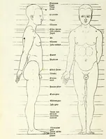 An illustration from Alberti Dureri Clarissimi pictoris et geometrae de symmetria partium in rectis formis humanorum corporum (1532)