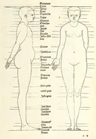 An illustration from Alberti Dureri Clarissimi pictoris et geometrae de symmetria partium in rectis formis humanorum corporum (1532)