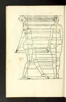 An illustration from Alberti Dureri Clarissimi pictoris et geometrae de symmetria partium in rectis formis humanorum corporum (1532)