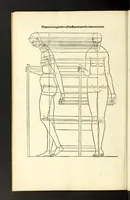 Picture 36 of 43 from Alberti Dureri Clarissimi pictoris et geometrae de symmetria partium in rectis formis humanorum corporum (1532), leaf 258