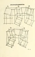 Picture 42 of 43 from Alberti Dureri Clarissimi pictoris et geometrae de symmetria partium in rectis formis humanorum corporum (1532), leaf 277