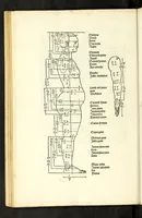 Picture 7 of 43 from Alberti Dureri Clarissimi pictoris et geometrae de symmetria partium in rectis formis humanorum corporum (1532), leaf 90