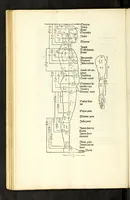 Picture 8 of 43 from Alberti Dureri Clarissimi pictoris et geometrae de symmetria partium in rectis formis humanorum corporum (1532), leaf 94