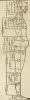 Picture 61 of 211 from Alberti Dvreri clarissimi pictoris et geometrae De symmetria partium humanorum corporum libri quatuor : è germanica lingua in latinam versi (1557), leaf 103