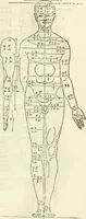 Picture 65 of 211 from Alberti Dvreri clarissimi pictoris et geometrae De symmetria partium humanorum corporum libri quatuor : è germanica lingua in latinam versi (1557), leaf 110