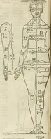 Picture 67 of 211 from Alberti Dvreri clarissimi pictoris et geometrae De symmetria partium humanorum corporum libri quatuor : è germanica lingua in latinam versi (1557), leaf 111