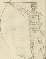 Picture 69 of 211 from Alberti Dvreri clarissimi pictoris et geometrae De symmetria partium humanorum corporum libri quatuor : è germanica lingua in latinam versi (1557), leaf 115