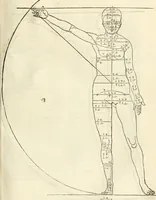 Picture 72 of 211 from Alberti Dvreri clarissimi pictoris et geometrae De symmetria partium humanorum corporum libri quatuor : è germanica lingua in latinam versi (1557), leaf 120